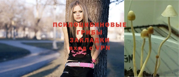 герыч Сафоново