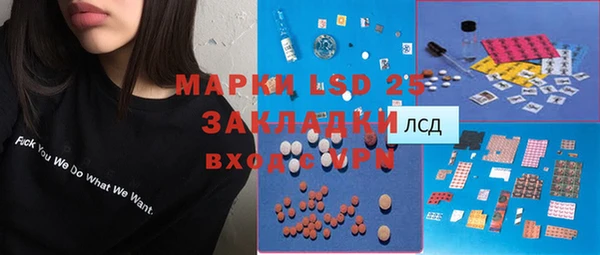 крисы Аркадак
