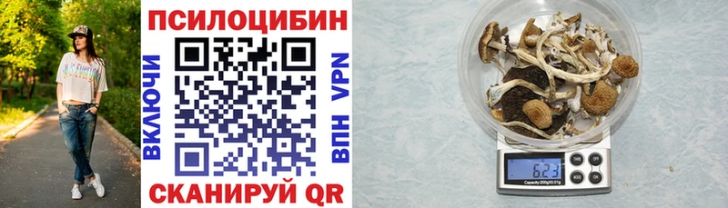 Галлюциногенные грибы Magic Shrooms  купить закладку  Любим 
